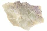 Purple Edge Fluorite Crystal Cluster - Qinglong Mine, China #205480-1